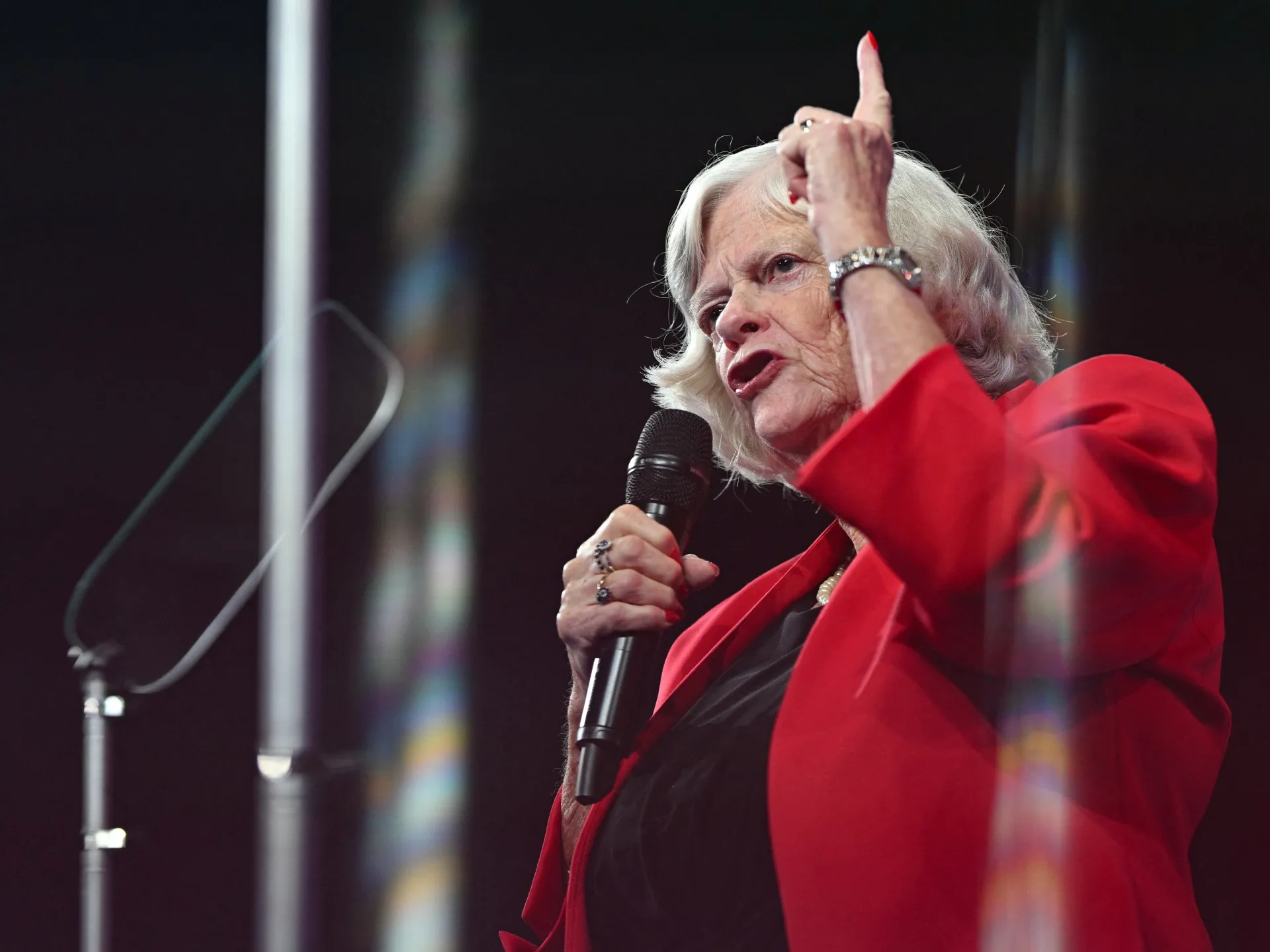 Podozrivý zo smrteľného útoku na britskú političku Ann Widdecombe | Kriminálne správy