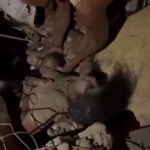 Preživší a telá stále vyťahujú z trosiek niekoľko dní po dvojitom zemetrasení | Zemetrasenia