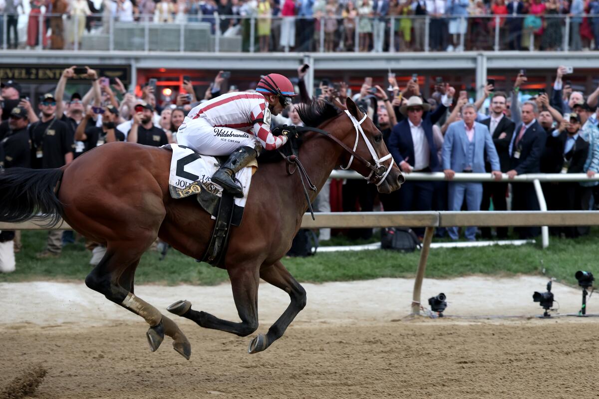 Žurnalistika s džokejom Umbertom Rispolim prekročila cieľovú čiaru a vyhrala 150. Preakness Stakes v roku 2025.
